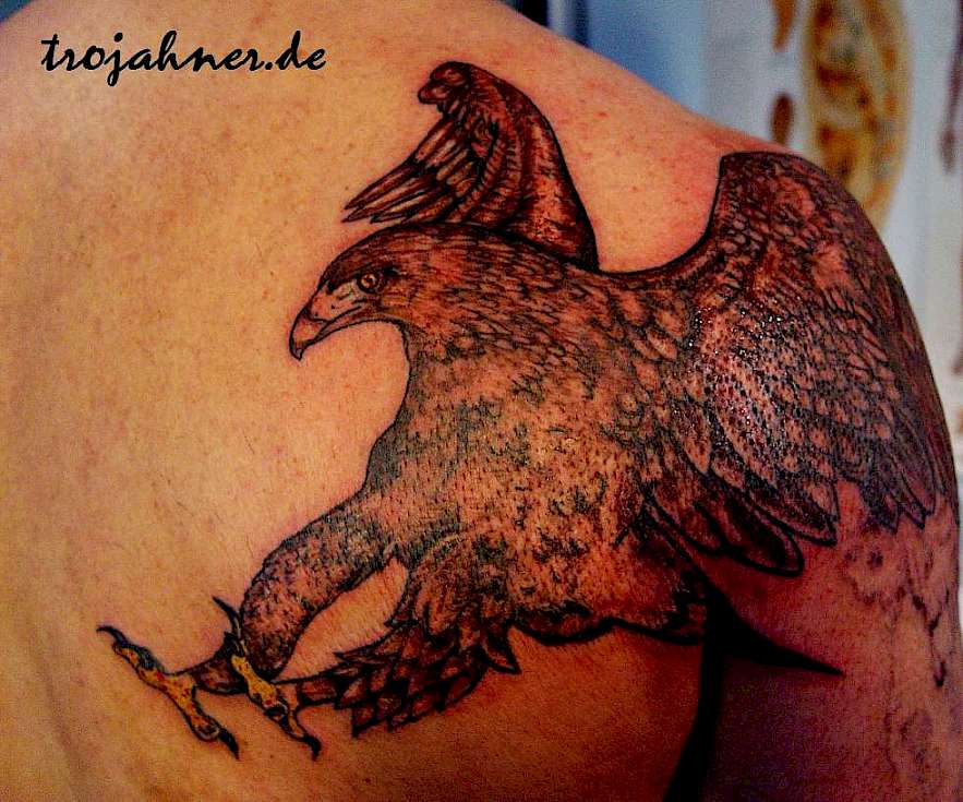 Adler Tattoo Schulterblatt farbiges Adlertattoo Bild Adler Tattoo Rückentattoo farbiges Tattoo