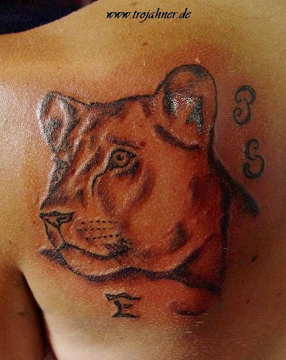 Bild Löwin Tattoo