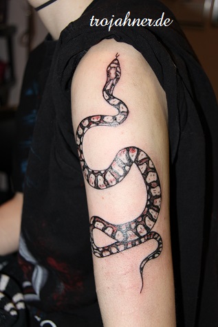 Bild Schlange Tattoo Dresden Tattoostudio