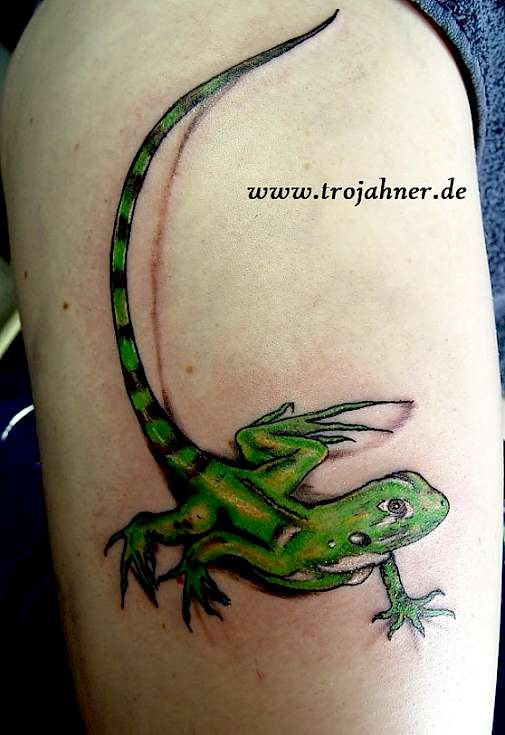 Bild Salamander Echse Tattoo