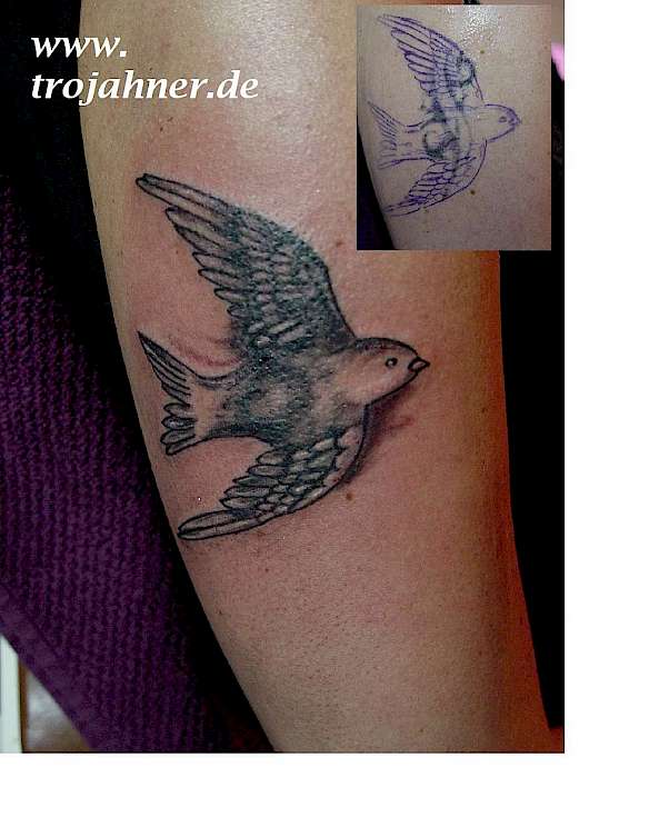 Bild Cover up Tattoo Schwalbe Dresden Tattoostudio