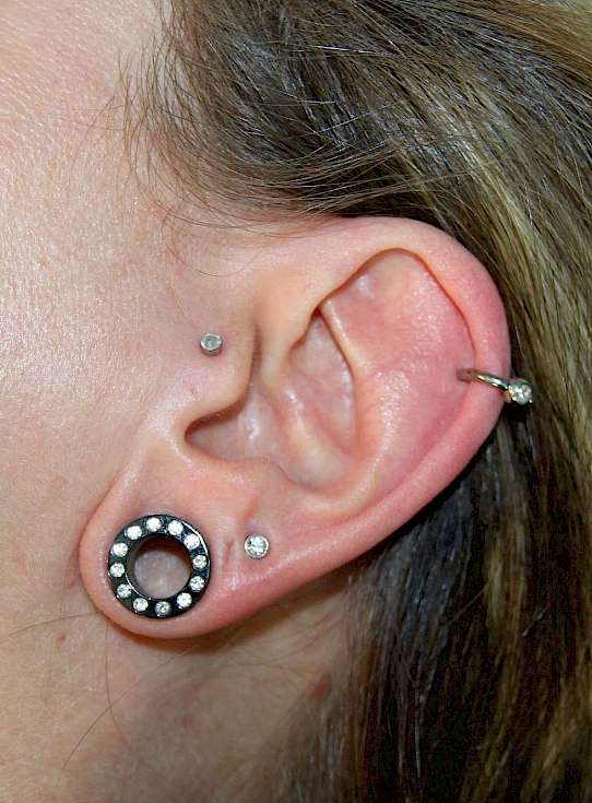 Bild Ohr Piercing