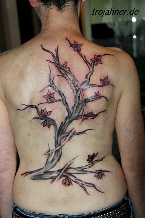 Bild Rückenbild Baum Blüten Tattoo