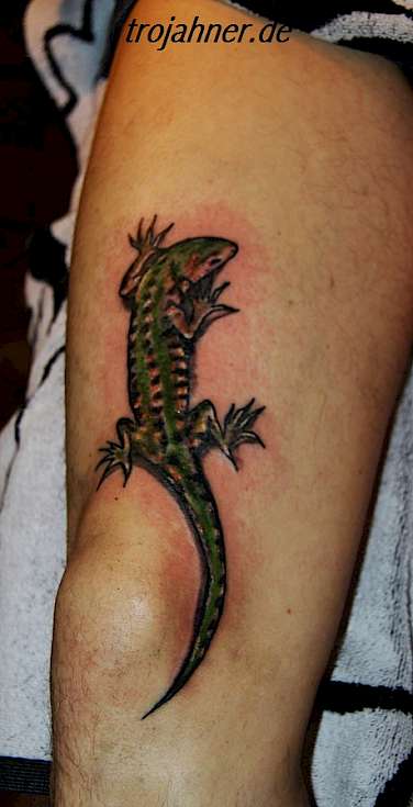 Bild Echse Salamander Tattoo