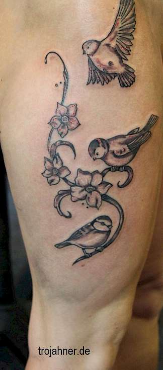 Bild Vogel Ranke Tattoo