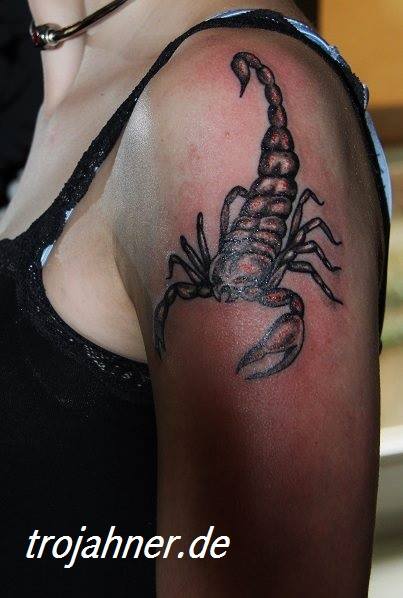 Bild Skorpiontattoo Armtattoo Tattoo