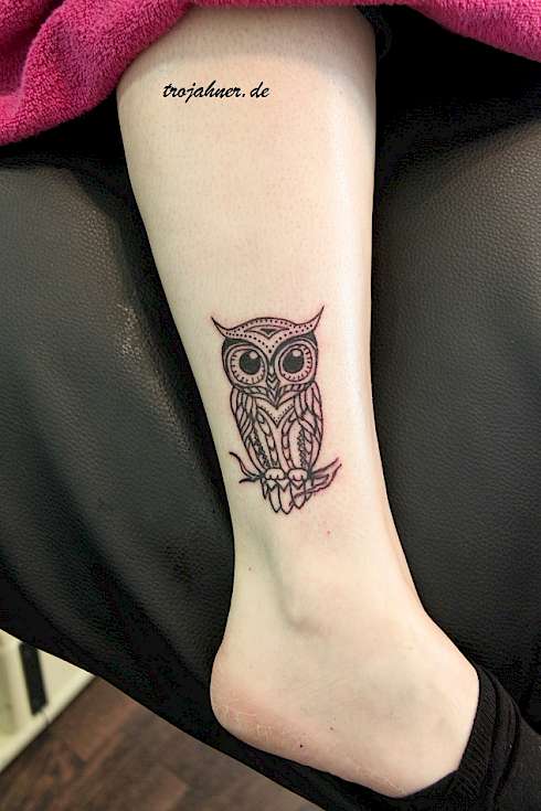 Bild Eule Tattoo Tätowierung