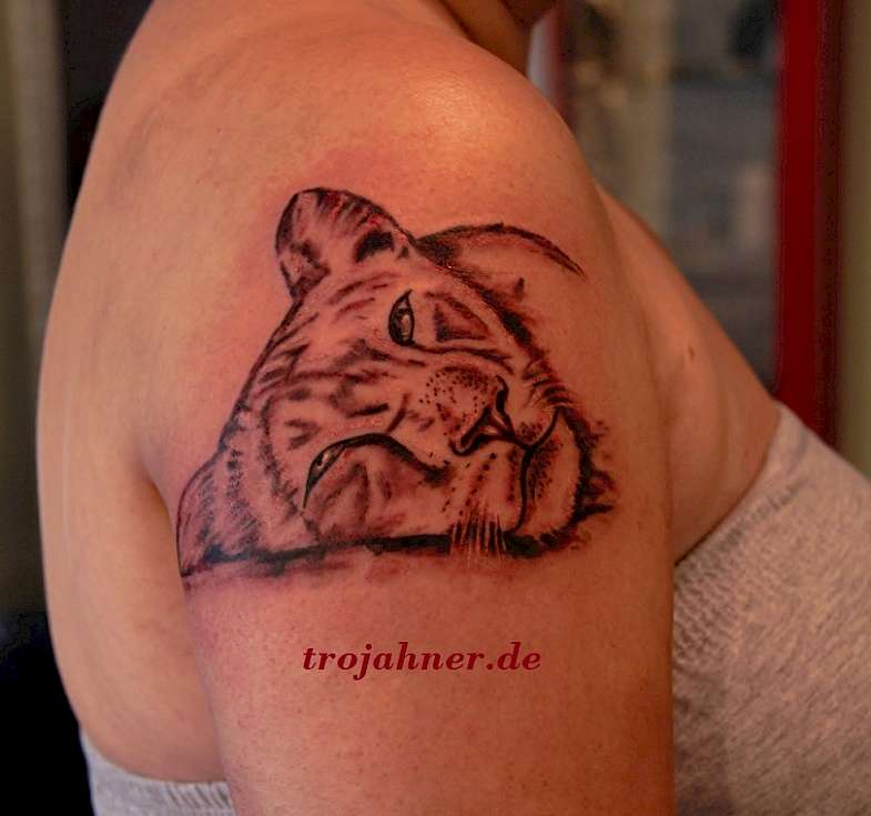 Bild Löwin  Kopf Tattoo schlagende Löwin