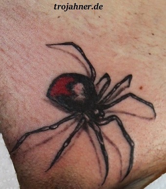 Bild Spinne Tattoo Venushügel Intimtattoo Intim 3 D