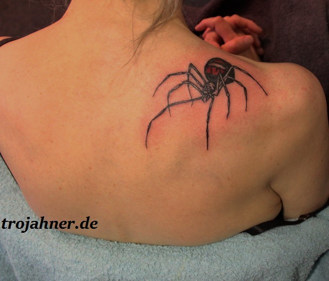 Bild Spinne Tattoo auf Schulterblatt Dresden