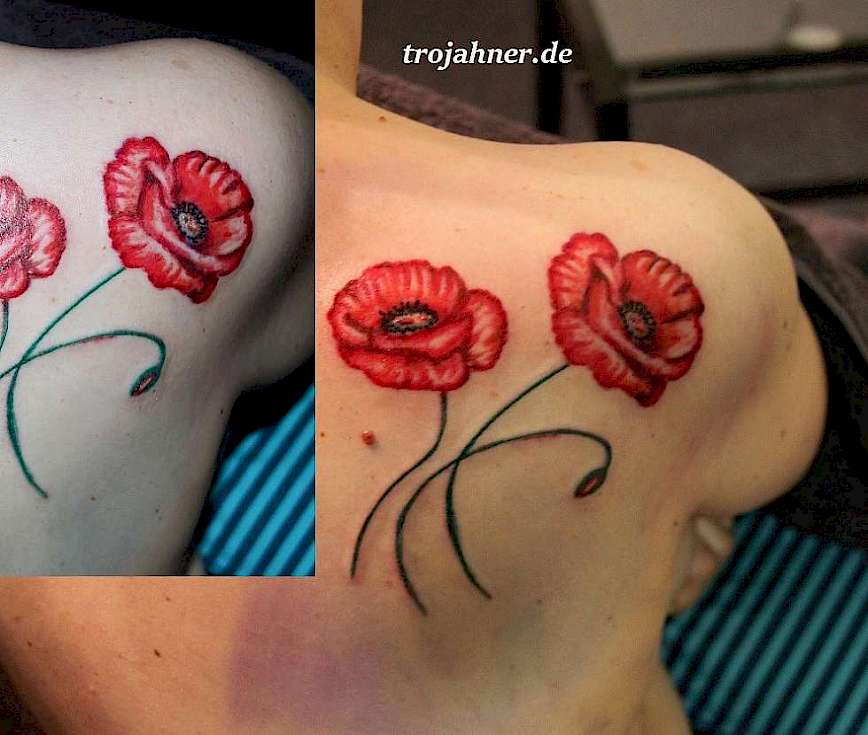 Bild Mohn Mohnblume als Tattoo Schulterblatt Studio Dresden weibliche Tätowiererin