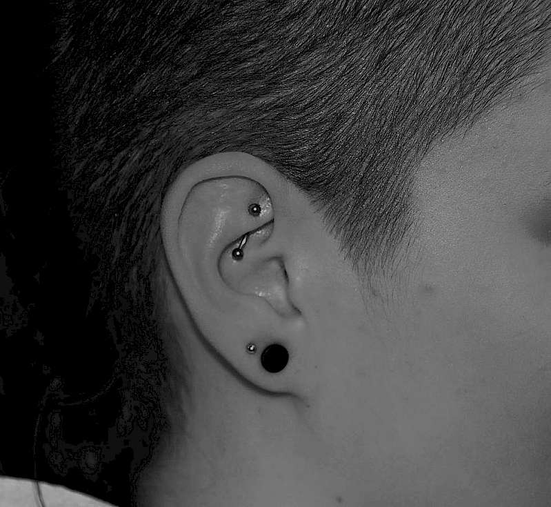 Bild rook Ohrpiercing dresden Ohrknorpelpiercing Piercing