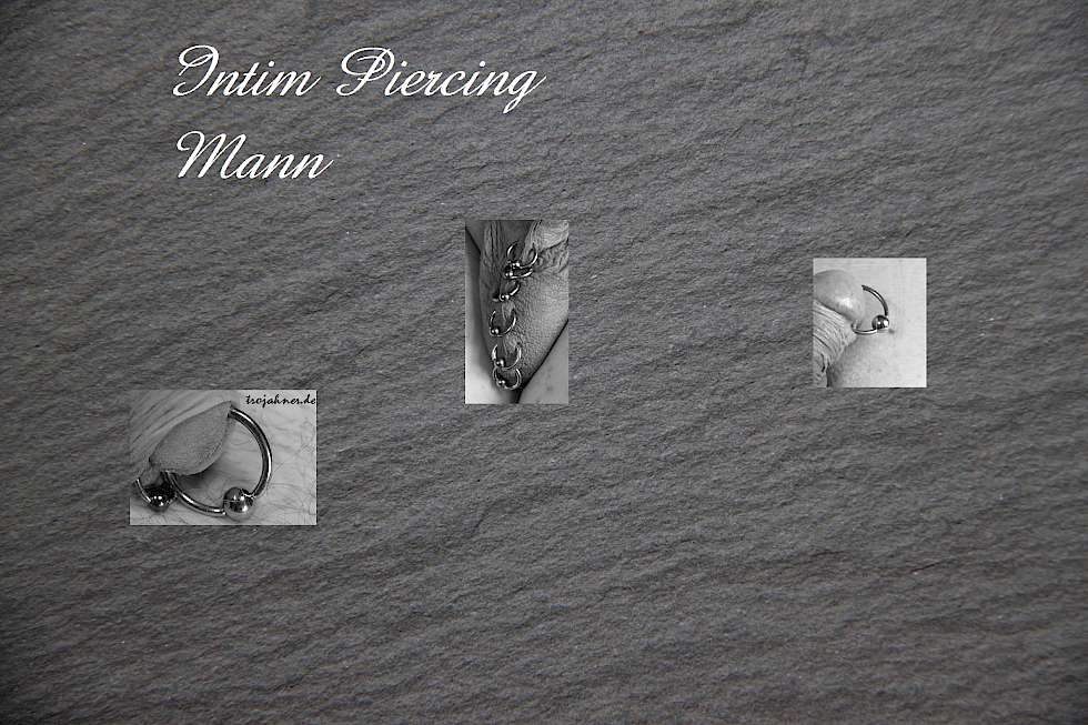 Bild PA Piercing Prinz Albert Piercing Frenum Hafada Intimpiercing Piercing
