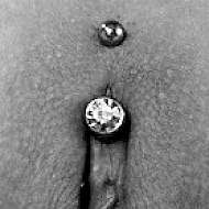 Kvh intimpiercing Category:Genital piercings