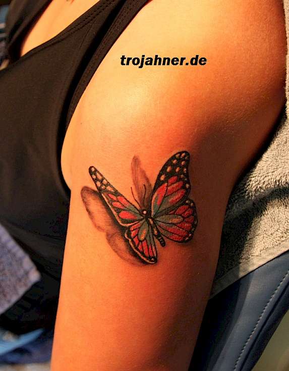 Bild Schmetterling 3D Tattoo