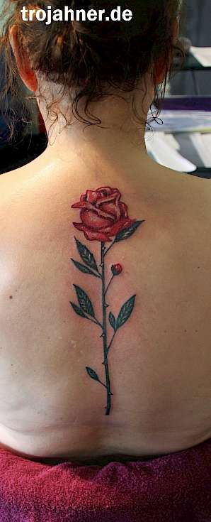 Bild Rose farbig Rücken wirbelsäule Tattoo Dresden Tätowiererin Spezialistin für Tattoo