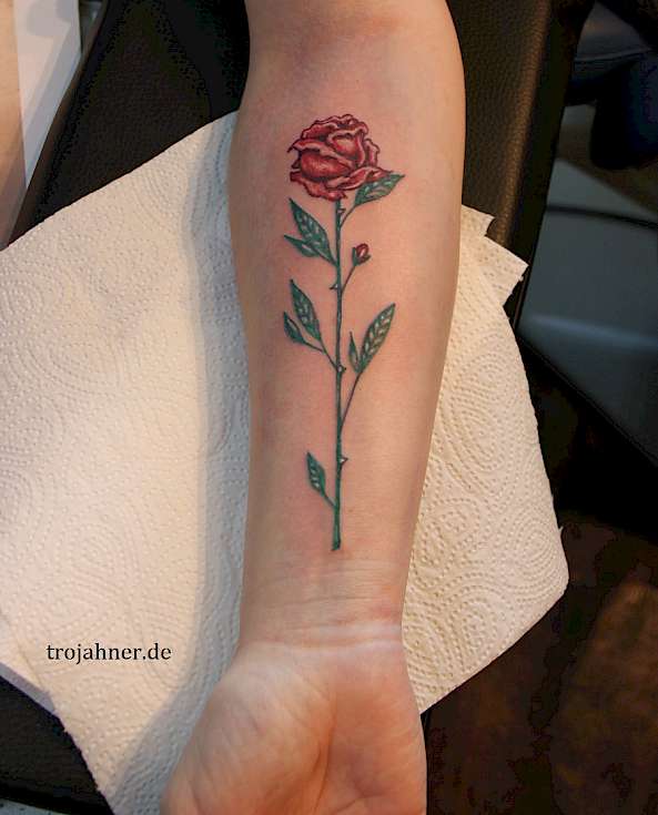 Bild Rosentattoo ohne schwarz farbig tattoo rose dresden tattoostudio tätowiererin weiblich