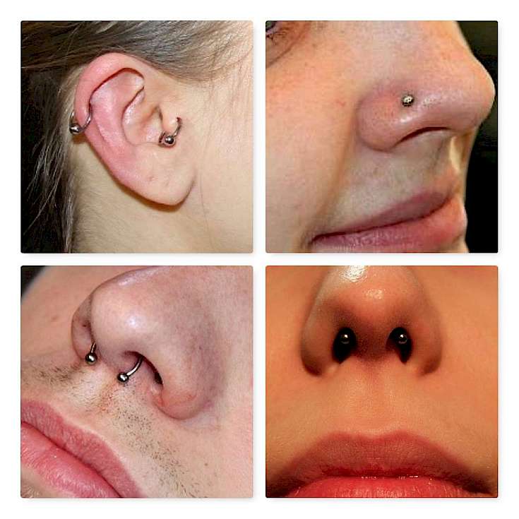 Helix Tragus Nostril Septum Hufeisenform Septum Bananenform Piercingschmuck Titan Piercing Dresden Bild Piercing