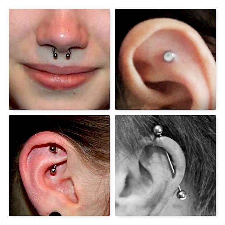 Piercing Dresden Septum Flat Rook Industrial Piercing Titanschmuck Piercingdresden Bild Piercing